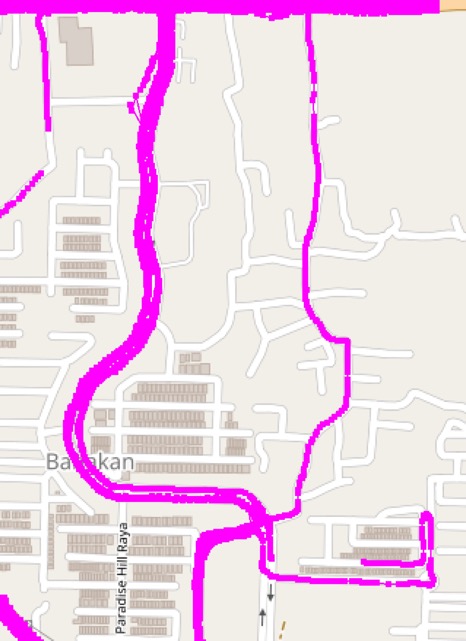 Figure 3a. Raw GPS trajectories