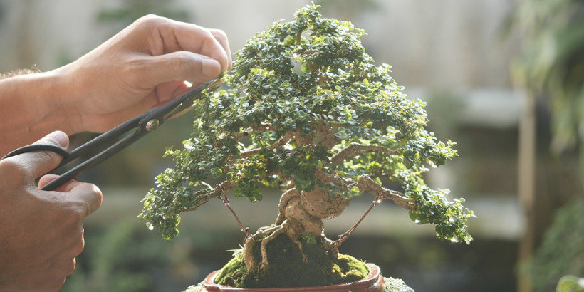 Android App Size at Scale with Project Bonsai cover photo