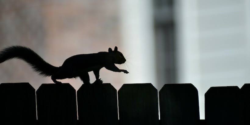 Enhancing Flink Deployment with Shadow Testing cover photo